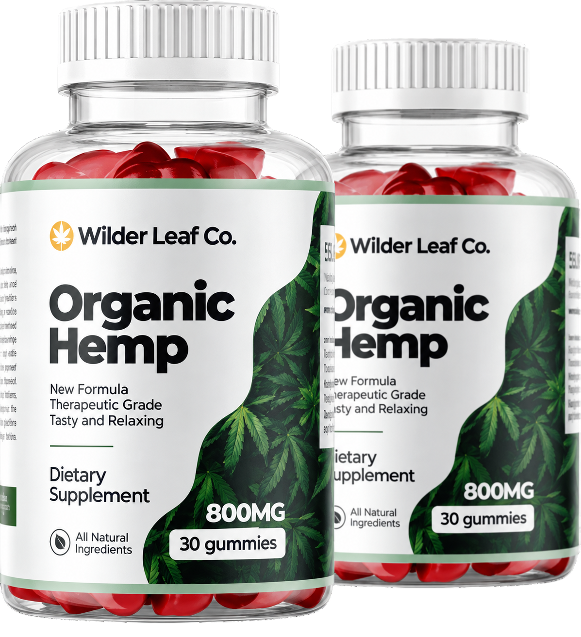 Wilder Leaf Organic Hemp Gummy 800MG bottles showing the organic hemp supplement label